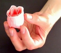 Hand Model - Actors & Models in Napa, California