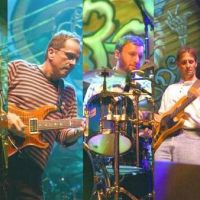 Jakes Leg - Grateful Dead Tribute Band in , 