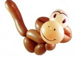 monkey
