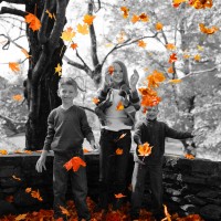 Jamie Mastrio Photography - Photographer in Greenfield, Massachusetts