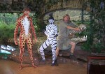 Steve Irwin Steve Irwin