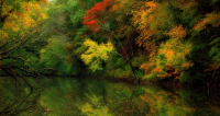 Jeffrey Sweet Photography - Photographer in Independence, Missouri