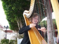 Jill Pack - Celtic Music in Gilbert, Arizona