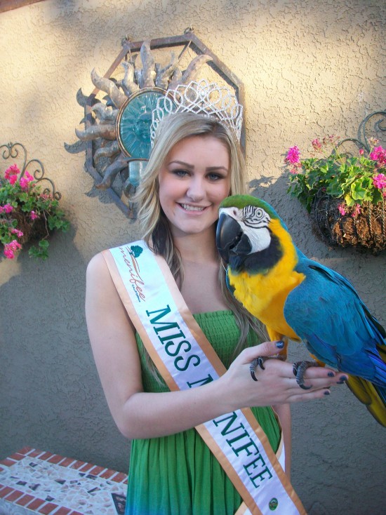 Menifee Chamber Of Commerce Event