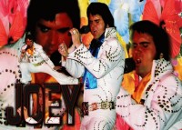 Joey Franklin is a Touch of Elvis