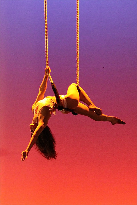 Single Trapeze