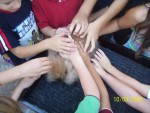 Petting the Bunny! Petting the Bunny!