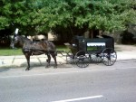 Horse Drawn hearse Michigan Horse Drawn hearse Michigan