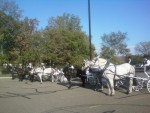 Carriages Provided to Ford motor Carriages Provided to Ford motor