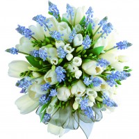 Just Me Floral Design - Event Services in Guelph, Ontario