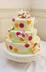 Butterfly Cake