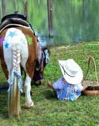 Kb Horse Camps Pony Parties