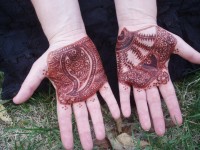 KC Henna