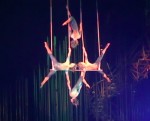 cirque du soleil's varekai