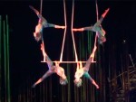 cirque du soleil's varekai