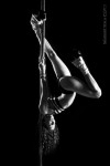 Pole Dancer Pole Dancer