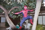 Spidey