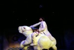 ridng the rabbit