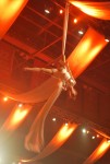 Aerial Silks