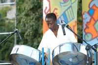Steelin' Jazz - World & Cultural in Lansing, Michigan