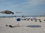 Gulf Beach Wedding Gulf Beach Wedding