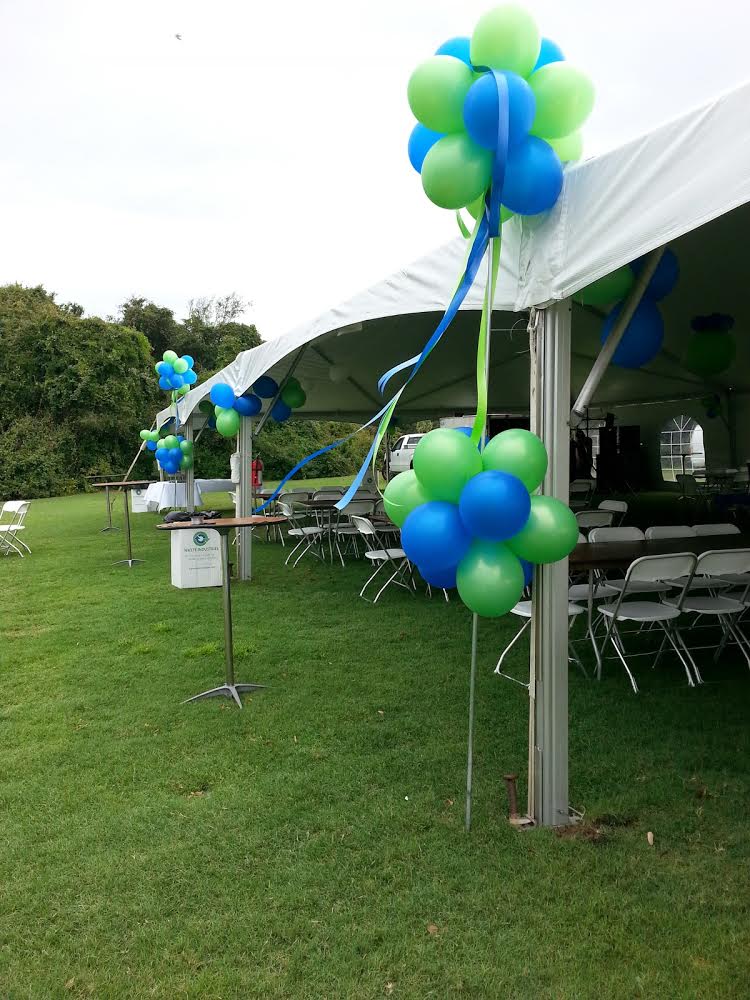 Linda's Balloon Twisting & Decor Balloon Decor in Charlotte, North