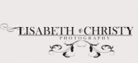 Lisabeth Christy Photography - Horse Drawn Carriage in Winchester, Virginia