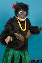Hula Gorilla