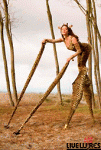 Stilt Walker Janet Rayor