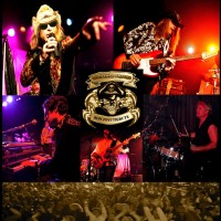 Livin' on a Prayer - Tribute Artist in Chula Vista, California