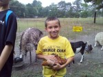 Summer Camp