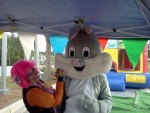Inflatables & Trains & Rentals