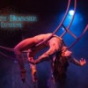 Lucent Dossier Experience