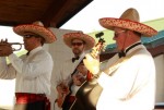 Three Amigos Mariachi Group Three Amigos Mariachi Group