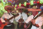 Three Amigos Mariachi Group Three Amigos Mariachi Group