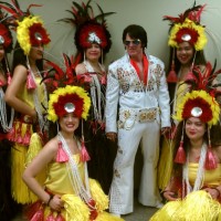 Lure Of The Pacific Band, World & Cultural on Gig Salad