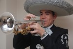 Mariachi Tapatio De Alvaro Paulino Trompeta