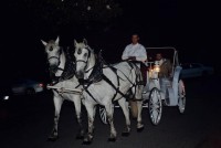 M M Carriage Company
