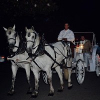 M M Carriage Company - Horse Drawn Carriage in Plano, Texas