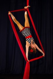 Maevy Aerial Arts
