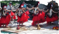 Manea Porinesia (Polynesian Dance Entertainment) - Dance Troupe in Longmont, Colorado