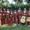 Mariachi Juvenil Oro Y Plata