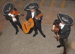 Mariachi Patron Mariachi Patron