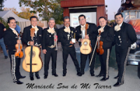 Mariachi Son De Mi Tierra