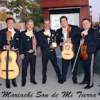 Mariachi Son De Mi Tierra
