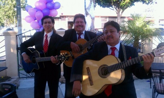 Mariachi Trio estrellas De Oro