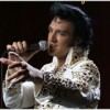 Matt Lewis: Long Live the King - Elvis Impersonator in Phoenix, AZ