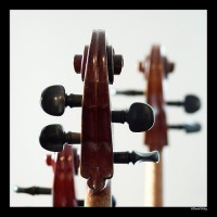 Mayfield Strings - Classical Music in Rocky River, Ohio