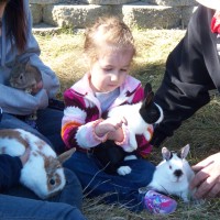 McDonnys  Traveling   Farm - Animal Entertainment in Keene, New Hampshire