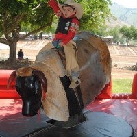 Mechanical Bull Rental N Jumpers - Carnival Rides Company in , 